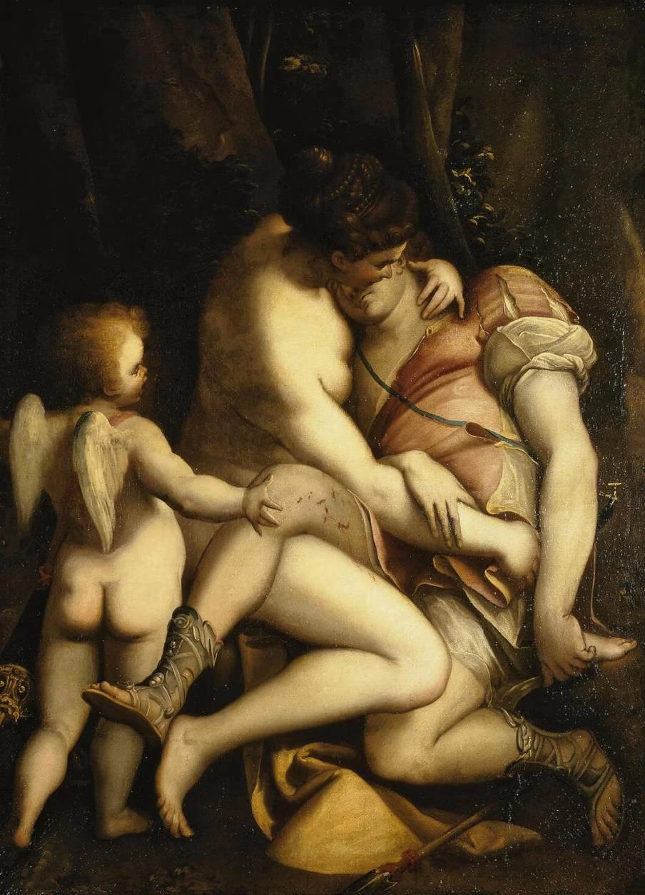 Venere e Adone - Hermitage, San Pietroburgo